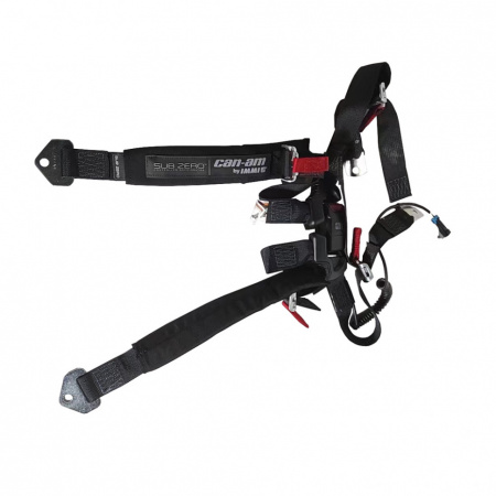 Ремни безопасности пассажира SAFETY_BELT 4 POINTS KIT SSP