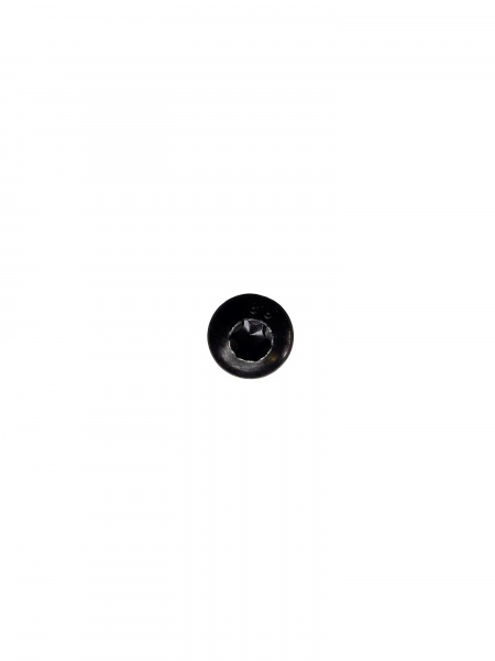 Болт PAN HEAD TORX SCREW M8 X 12