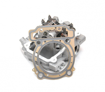 CYLINDER HEAD Головка блока цилиндра задняя
