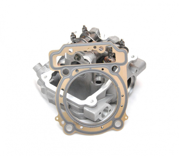 CYLINDER HEAD Головка блока цилиндра задняя