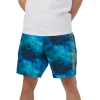 Шорты классические, мужские, Sea-Doo 18" Classic Boardshorts